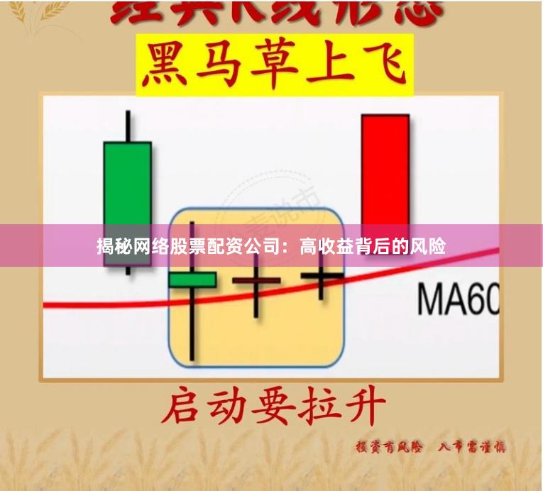 揭秘网络股票配资公司：高收益背后的风险