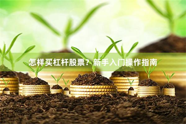 怎样买杠杆股票？新手入门操作指南