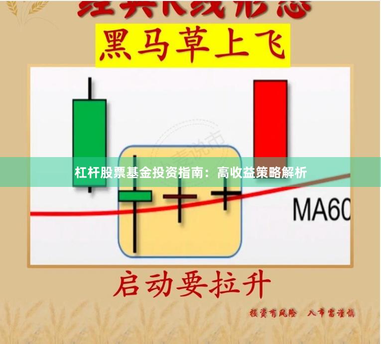 杠杆股票基金投资指南：高收益策略解析